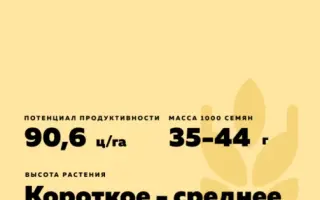 МИРОНОВСКАЯ 100