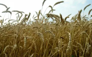 МОСКОВСКАЯ 40