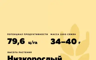 ЗЕРНОГРАДКА 9