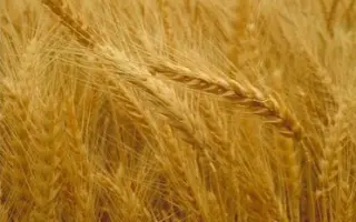 МОСКОВСКАЯ 39