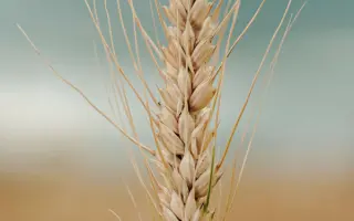 МОСКОВСКАЯ 56