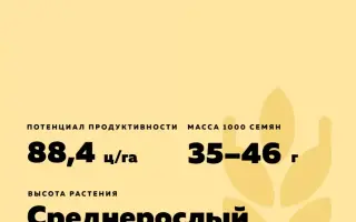 БУЛГУН