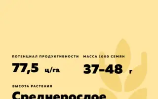 БЕЛГОРОДСКАЯ 16