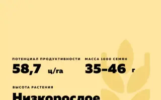 РЕСУРС