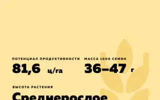 ДЕВИЗ