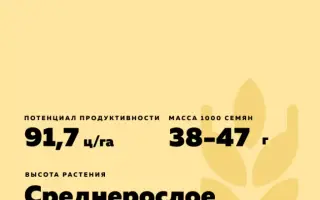 ЗУСТРИЧ