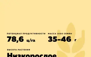 КУМА