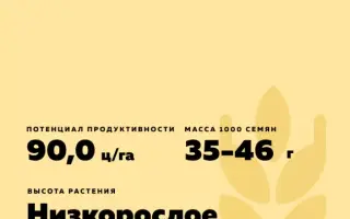 ЗИМТРА