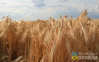 ВОЛЖСКАЯ С 3