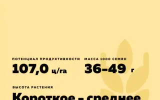 КРАСНОДАРСКАЯ 99