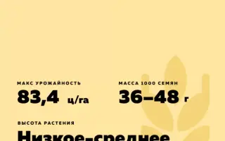 ПРИКУМСКАЯ 140