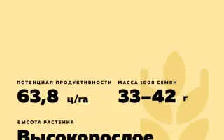 БЕЗЕНЧУКСКАЯ 616