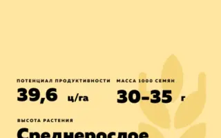 НОВОСИБИРСКАЯ 32