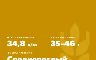 БУРЯТСКАЯ 79