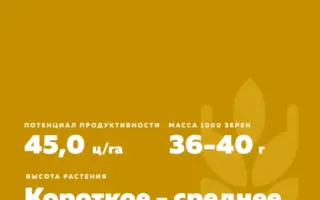 ПАМЯТИ НИКОНОВА