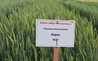 АГРОС