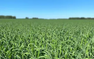 ЗАУРАЛЬСКИЙ ПРОСТОР