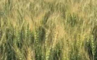 АГРОНОМИЧЕСКАЯ 5