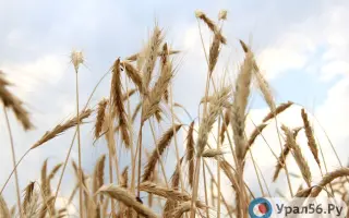 ОРЕНБУРГСКАЯ 30