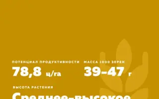 ПАМЯТИ СУСЛЯКОВА