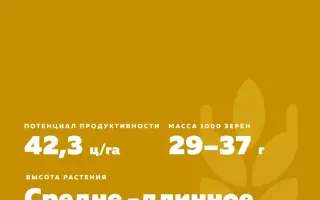 САРАТОВСКАЯ 76