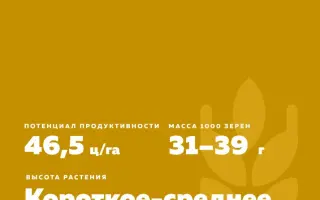 АЛЬБИДУМ 2030