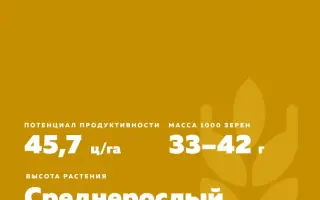 КРАСНОЗЁРКА