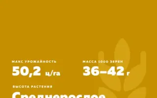 ОМСКАЯ ЮБИЛЕЙНАЯ