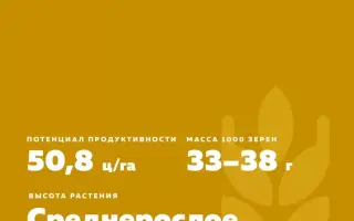 ТУЛАЙКОВСКАЯ НАДЕЖДА