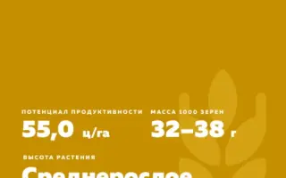 ТУЛАЙКОВСКАЯ 108