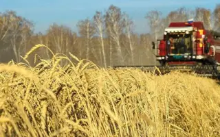 ХАБАРОВЧАНКА