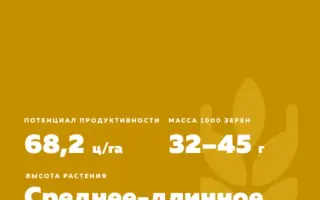 НОВОСИБИРСКАЯ 18