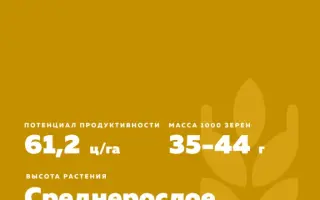 СИБИРСКИЙ АЛЬЯНС