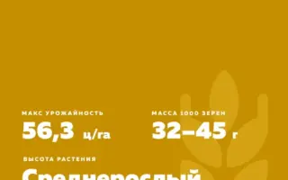 АЛТАЙСКАЯ 70