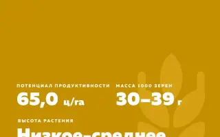 КИНЕЛЬСКАЯ ОТРАДА