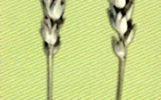 ПРОХОРОВКА