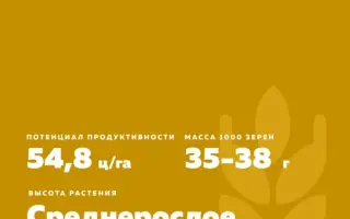 АМУРСКАЯ 1495