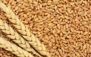 САРАТОВСКАЯ 70