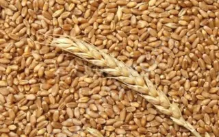 ТУЛАЙКОВСКАЯ 10