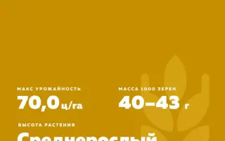 КРАСНОУФИМСКАЯ 100