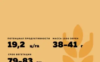 ПСКОВИТЯНКА