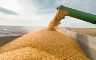 БАШКИРСКАЯ 29