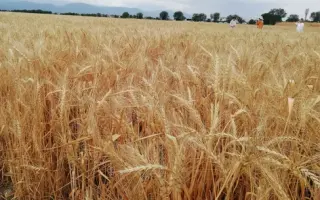 ОРЕНБУРГСКАЯ 10