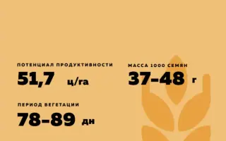 БЕЗЕНЧУКСКАЯ КРЕПОСТЬ