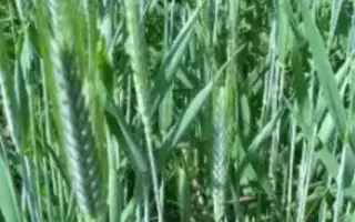 БЕЗЕНЧУКСКАЯ 182