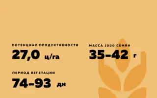 САЛЮТ АЛТАЯ