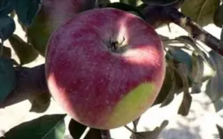 САЛГИРСКОЕ