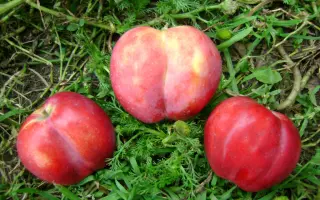 ХРУСТАЛЬНЫЙ БАШМАЧОК