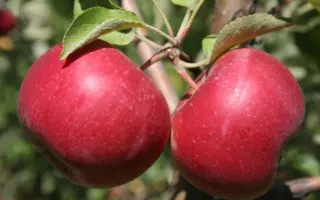 ИНТЕРПРАЙС