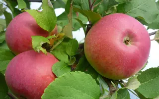 АПРЕЛЬСКОЕ